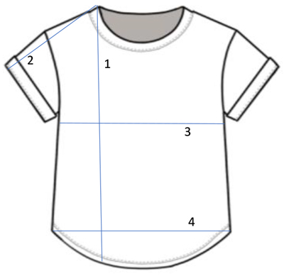 FMT101